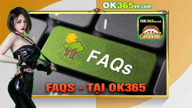 FAQs - Câu hỏi thường gặp Ok365